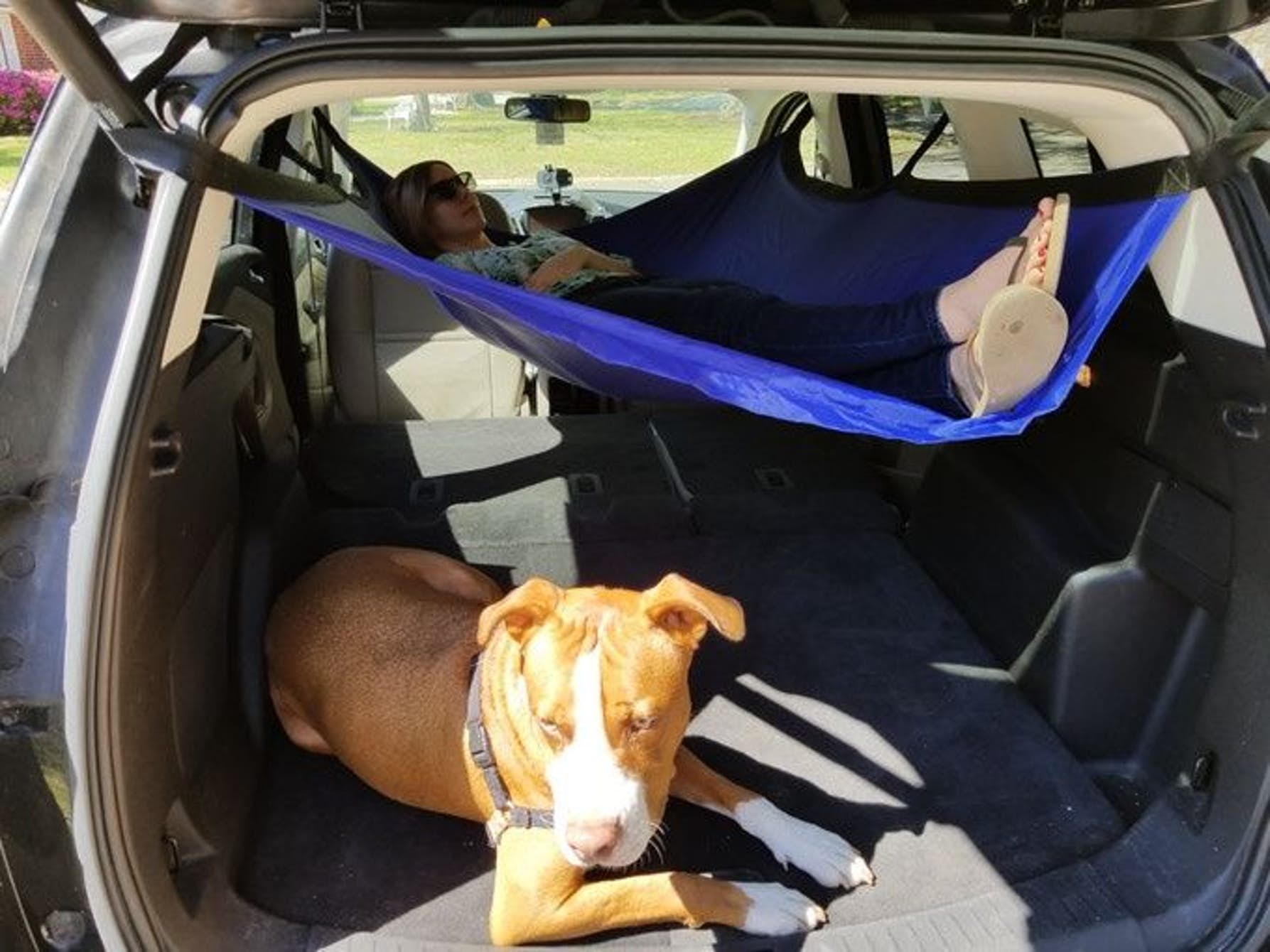 car-hammock-7.jpeg