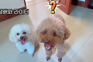 담배와 라이터