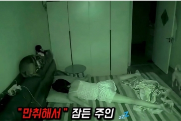 정말?