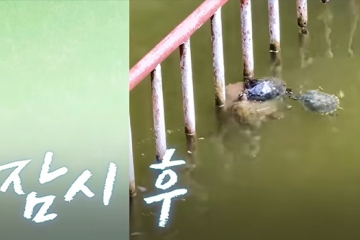 어떻게 되었을까?